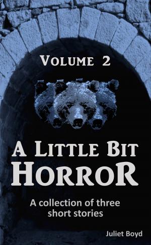 Cover of the book A Little Bit Horror, Volume 2: A Collection Of Three Short Stories by Juliet Boyd