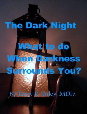 Cover of The Dark Night; What to do When Darkness Surrounds You