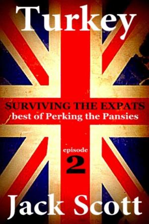 Cover of the book Turkey, Surviving the Expats by Barbara-Anne Puren