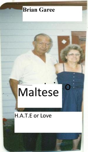 Cover of the book H.A.T.E or LOVE by Brian Garee
