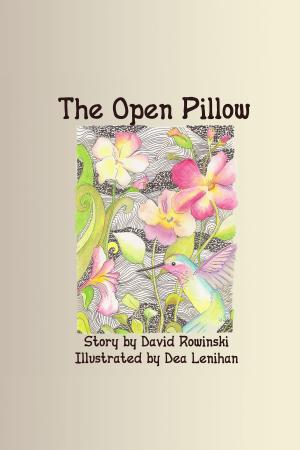 Cover of the book The Open Pillow by Pops Burkett