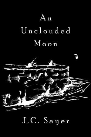 Cover of the book An Unclouded Moon by Paul D. Dail