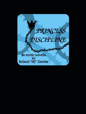 Cover of the book Princess Discipline by Catherynne M. Valente, K.J. Parker, Yoon Ha Lee, Aliette de Bodard, Mishell Baker, Seth Dickinson, Rose Lemberg, Scott H. Andrews