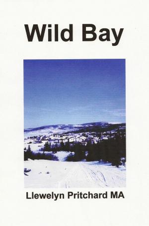 Cover of the book Wild Bay by Llewelyn Pritchard