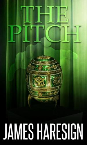 Cover of the book The Pitch by Robert Michael
