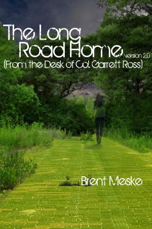 Book cover of The Long Road Home (From the Desk of Col. Garrett Ross)