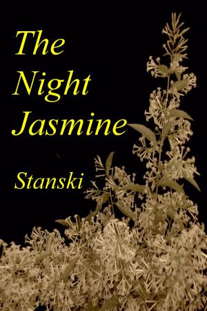 Book cover of The Night Jasmine