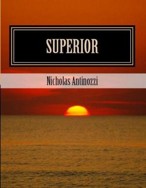 Cover of the book Superior by Nicholas Antinozzi