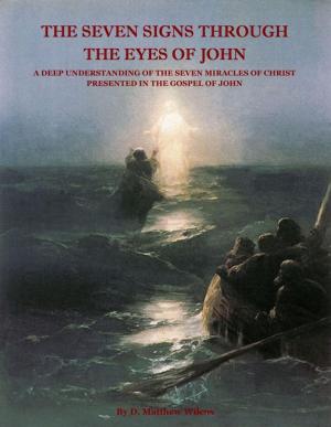 Cover of the book The Seven Signs Through the Eyes of John by Ashleigh Jenson