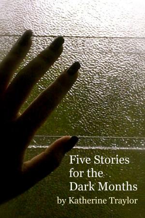 Cover of the book Five Stories for the Dark Months by James Lee Voris