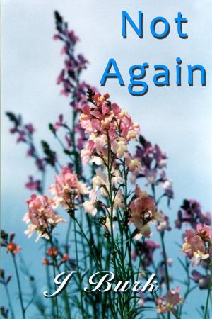 Cover of the book Not Again by Diego Manna