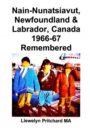 Cover of the book Nain-Nunatsiavut, Newfoundland and Labrador, Canada 1966-67 Remembered by Karen Goa