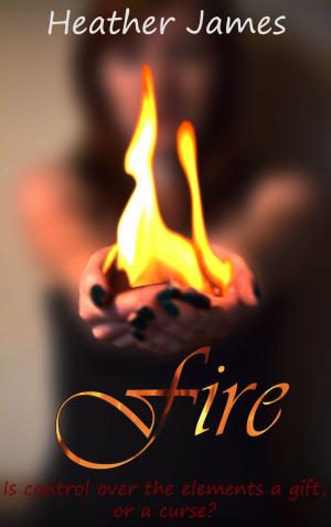 Cover of the book Fire by Kathy Warnes