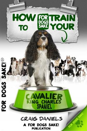 Cover of the book How to Train Your Cavalier King Charles Spaniel by David Wright