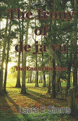 Cover of the book The Irony Of De Jà Vu by Cecilia Velástegui M.S. Ed.