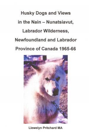Book cover of Husky Dogs and Views in the Nain: Nunatsiavut, Labrador Wilderness, Newfoundland and Labrador Province of Canada 1965-66
