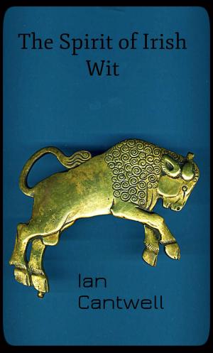 Cover of the book The Spirit of Irish Wit by Jess Faraday