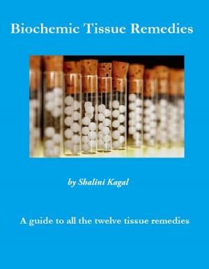 Cover of the book Biochemic Tissue Remedies by Lee Albert NMT