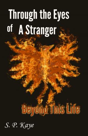 Cover of the book Through the Eyes of a Stranger: Beyond This Life by Elisabeth Wheatley