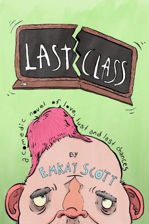 Cover of the book Last Class by Amanda Witow