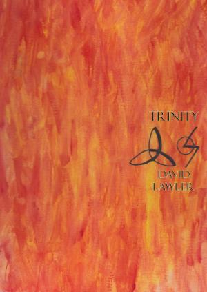 Cover of the book Trinity by James Dillingham