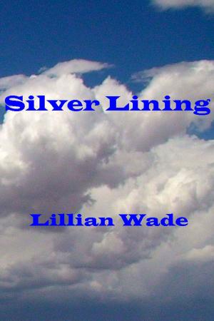 Cover of the book Silver Lining by Isabelle Arocho