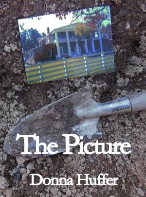 Cover of the book The Picture by Lester Dent