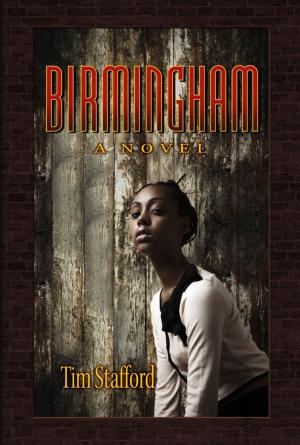 bigCover of the book Birmingham by 