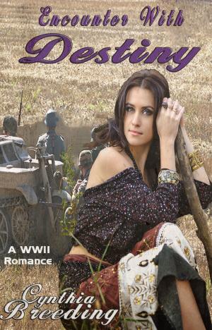 Cover of the book Encounter With Destiny by Polly McCrillis