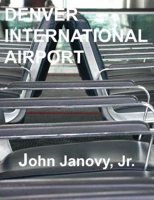 Book cover of Denver International Airport