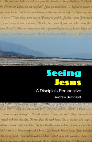 Cover of the book Seeing Jesus: A Disciple's Perspective by Drew Steadman
