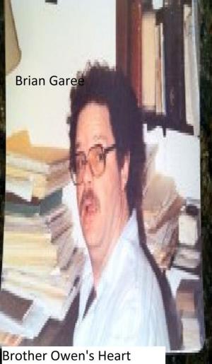 Cover of the book Brother Owens Heart by Brian Garee