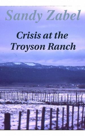 Book cover of Crisis at the Troyson Ranch
