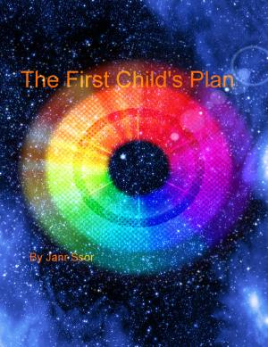 Book cover of The First Child's Plan