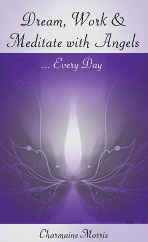 Cover of the book Dream, Work and Meditate with Angels by Sue Dumais