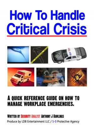 Book cover of How to Handle Critical Crisis