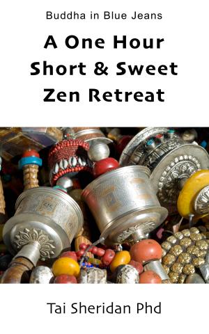 Cover of the book A One Hour Short & Sweet Zen Retreat by Tim Freke
