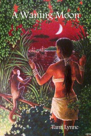 Cover of the book A Waning Moon by Dorothy Davies
