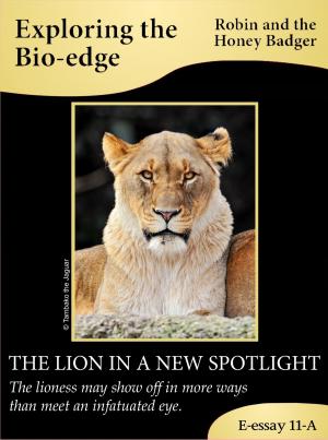 Cover of The Lion In A New Spotlight