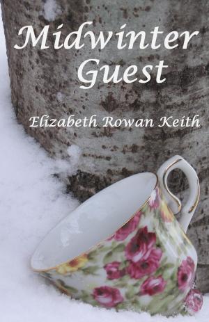 Book cover of Midwinter Guest