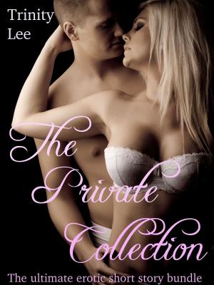 Book cover of The Private Collection (The Ultimate Erotic Short Story Bundle)