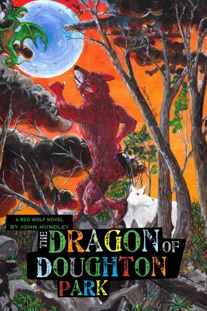 Cover of The Dragon of Doughton Park