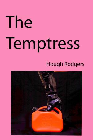 Book cover of The Temptress