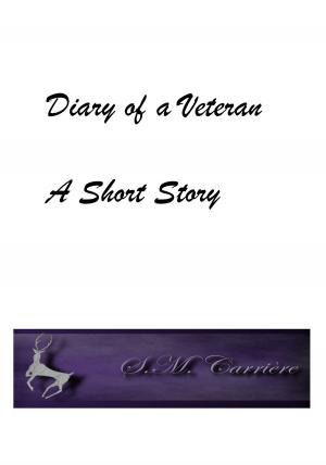 Cover of the book Diary of a Veteran by S.M. Carrière