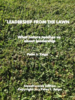 Cover of the book Leadership from the Lawn by Les Williams