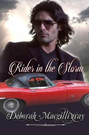 Book cover of Rider In the Storm