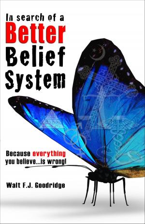 Cover of the book In Search of a Better Belief System: by Alexa Parsons