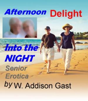 Cover of Senior Erotica Afternoon Delight Into the Night