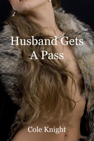 Cover of the book Husband Gets A Pass by Alethea Hunt