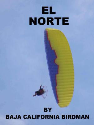 Cover of the book El Norte by Tim Hancock